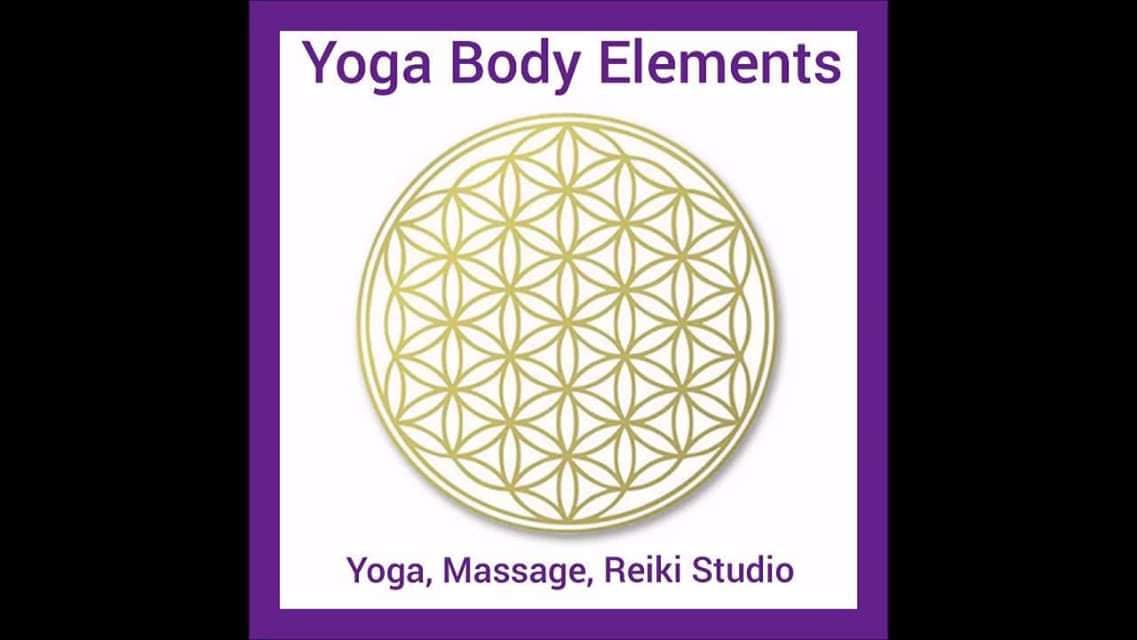 Business Spotlight Yoga Body Elements Chicago Green Diaper Babies