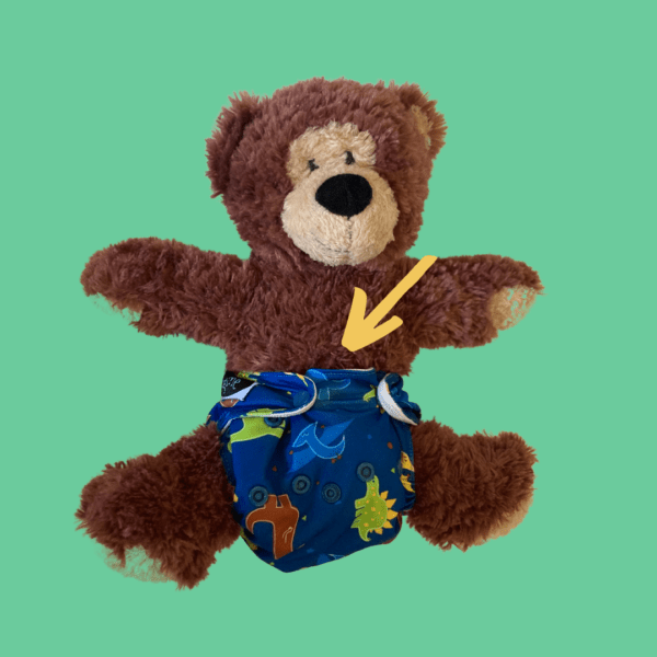 Teddy bear with an all-in-one cloth diaper that is too small. The middle front of the diaper is bulging and straining.